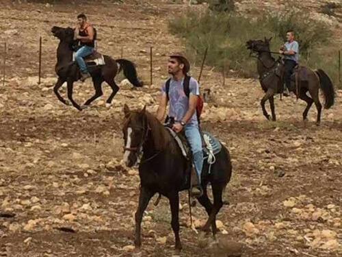 חוות סוסים נוף הרים בגליל